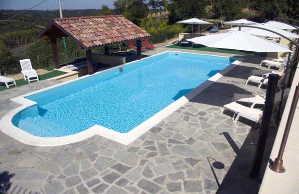 the 11 x 5 metre pool nestled in our vinyards with views to the alps